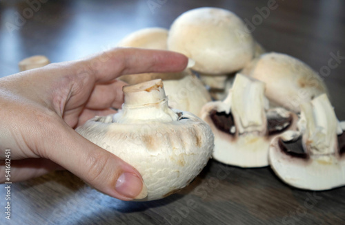 The girl demonstrates a large champignon. Champignons close-up on the table. The concept of farming, growing mushrooms for sale