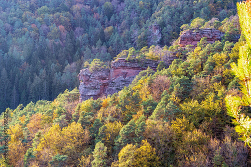 Herbst im Dahner Felsenland, Pfälzerwald, Rheinland-Pfalz, Deutschland © Jürgen Humbert