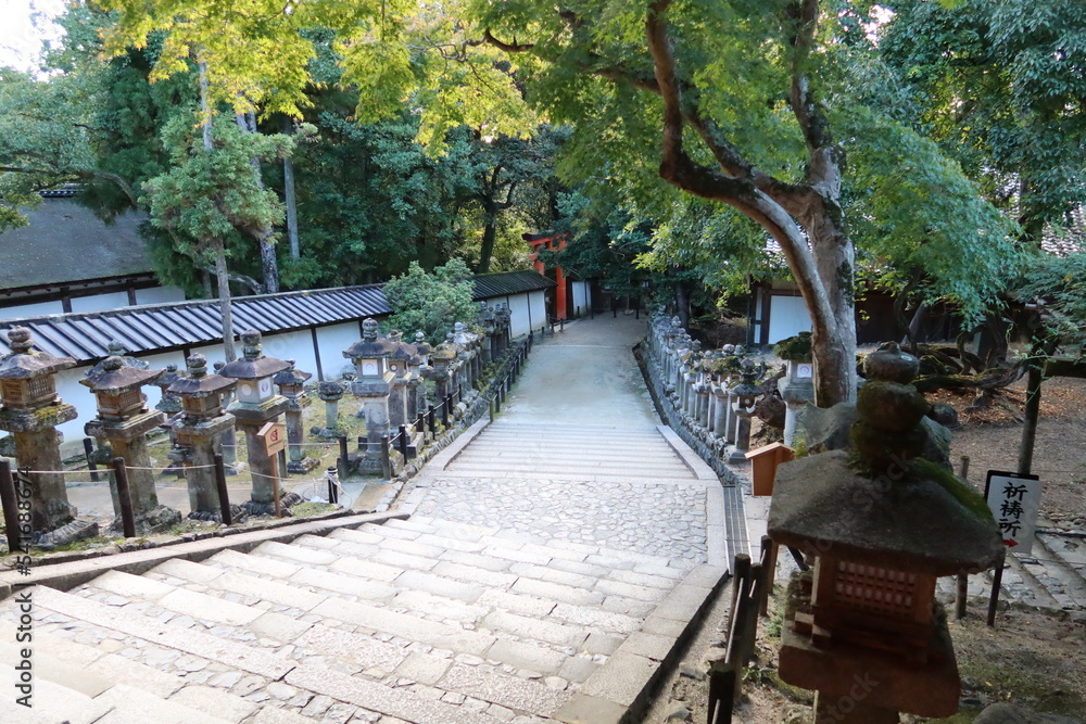 Obraz premium A Japanese shrine : a scene of the precincts of Kasuga-taisha Shrine in Nara City in Nara Prefecture 奈良県奈良市にある春日大社境内の風景