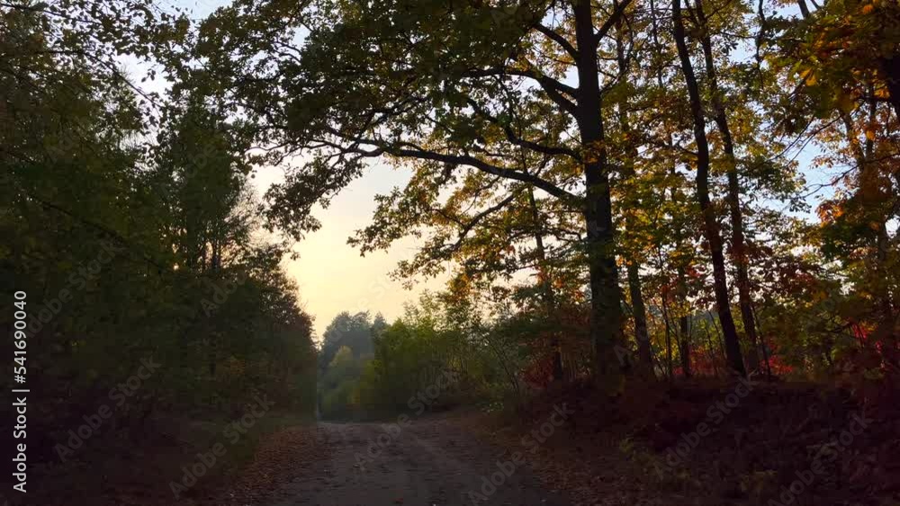 Beautiful autumnal landscape. Polish golden autumn. Beautiful autumnal landscape. Polish golden autumn.