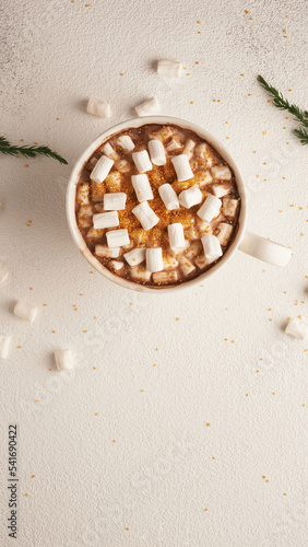 marshmallow cocoa, cozy Christmas concept. Place for text