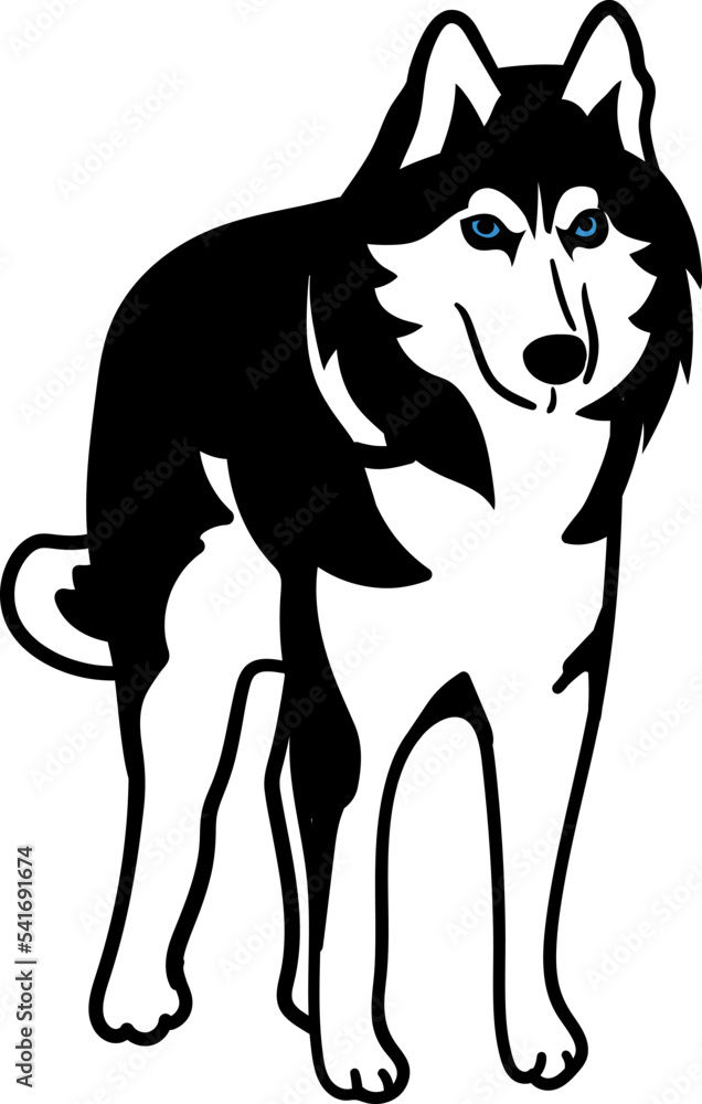 Husky siberian dog simple vector sketch illustration