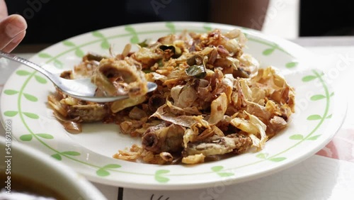 Fried Pork Chitterlings with ceramic plate photo