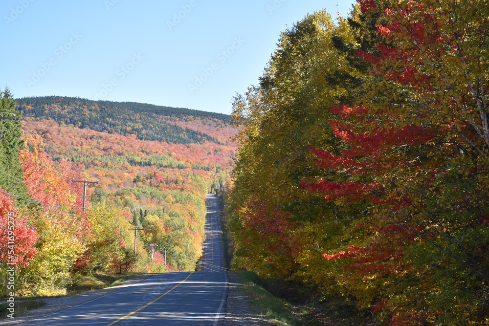 A country road in autumn, Buckland, Québec, Canada