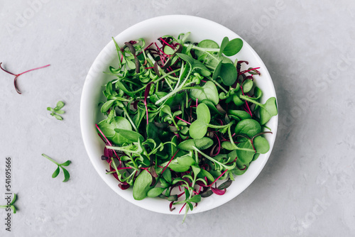 Microgreens. Superfood microgreen sprout mix in bowl on gray stone background. photo