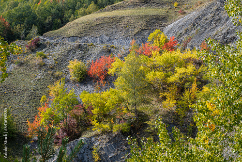 Amazing autumn fall colors as seen above Lac du Chambon resrvoir, near Mizoen village in Isere, Rhyone-Alpes, France photo