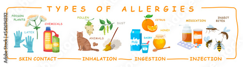 Types of allergies. Medical infographic. Vector illustration