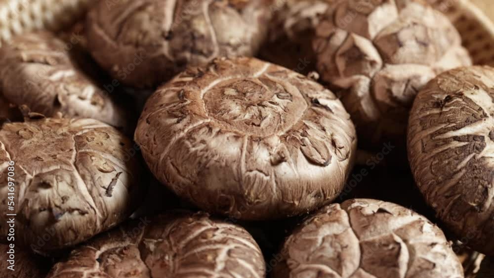 4K Close up of Shiitake mushrooms rotation