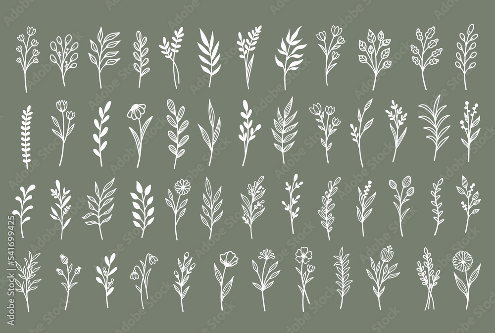 Vector set template for laser cutting and Plotter. Set of branches with flowers and leaves. Plants for decoration. White objects on a background.
