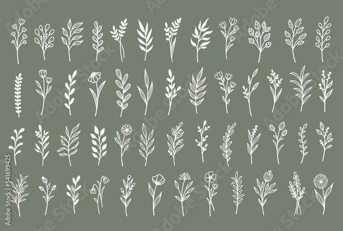 Vector set template for laser cutting and Plotter. Set of branches with flowers and leaves. Plants for decoration. White objects on a background.