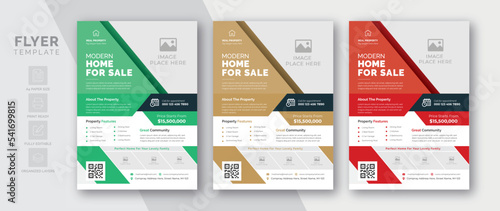 Flyer template for real estate agency business promotion | 3 Color variations | Print ready format