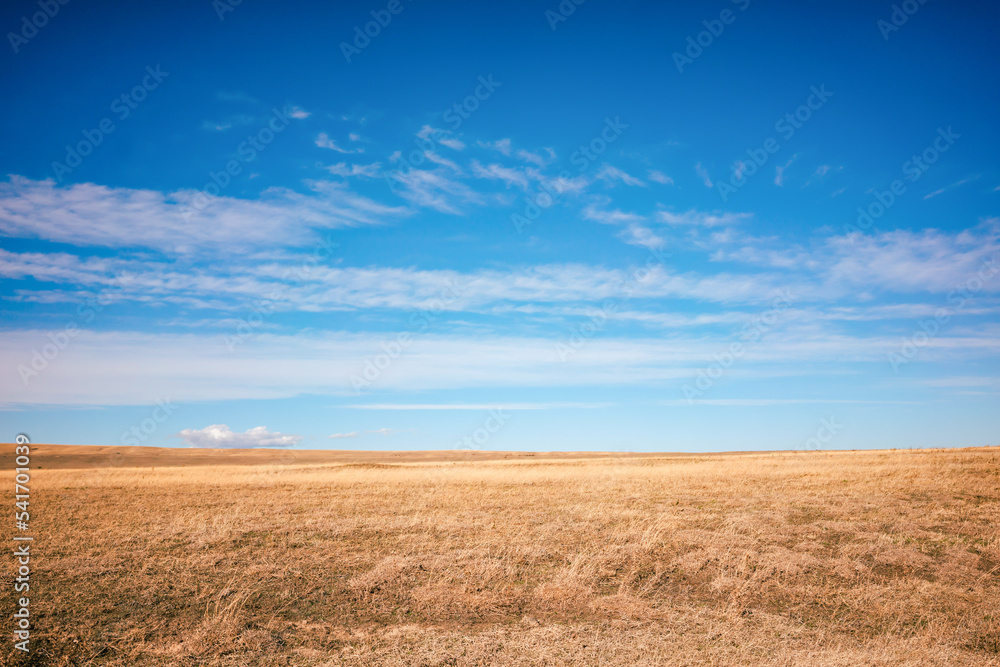 Landscape shot of the Georgian steppe Udabno in Georgia. Yellow-gold tall grass, wide land and blue sky. endless fields