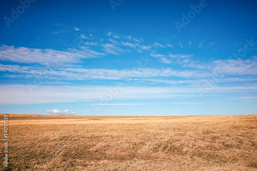 Landscape shot of the Georgian steppe Udabno in Georgia. Yellow-gold tall grass, wide land and blue sky. endless fields