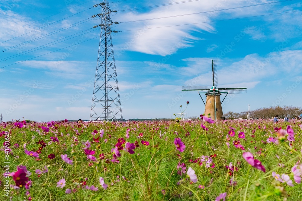 windmill in the field of flowers