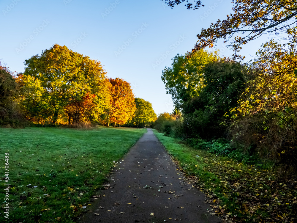 Naklejka premium autumn in the park