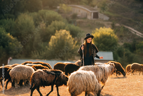 Fototapeta Female shepherd and flock of sheep at a lawn