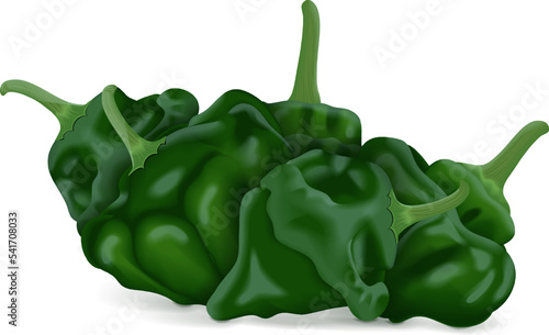 Group of green scotch bonnet peppers. Capsicum chinense. Hot chili pepper. Fresh organic vegetables. Vector illustration isolated on white background.
