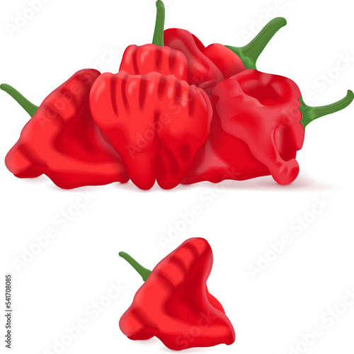 Group of Red scotch bonnet peppers. Capsicum chinense. Hot chili pepper. Fresh organic vegetables. Vector illustration isolated on white background.