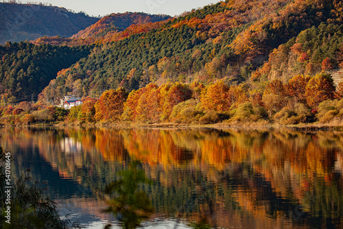 Fototapeta Naklejka Na Ścianę i Meble -  Autumn Leaves in Korea