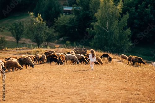 Beautiful meadow with a little girl and animals sheep