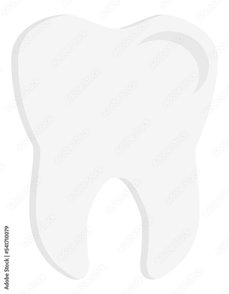 Obraz premium Whole white tooth with root