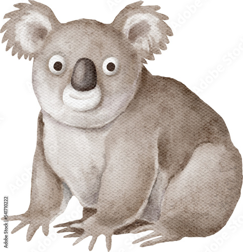 Koala character illustration