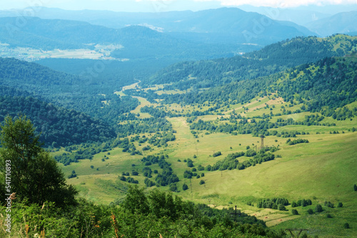 Landscape in green meadows, trees and mountain