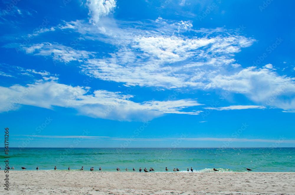 Watching the Seagulls, Sunday morning walk on the beach in October, Alabama Point, Orange Beach, Alabama