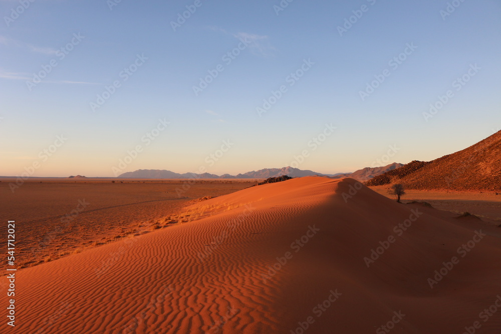 Désert Namibie