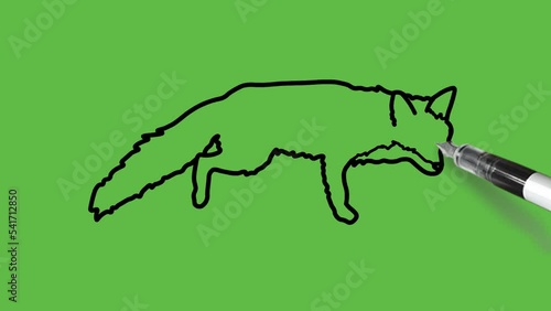 Draw fox or vixen called wild dog in yellow, grey, brown and white color combination with black outline on abstract green background
 photo