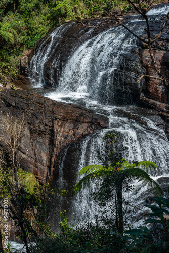 waterfall in the woods