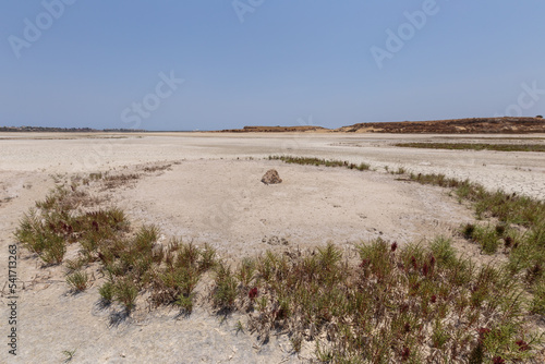 Desert with grass circle on the site of a dried-up lake