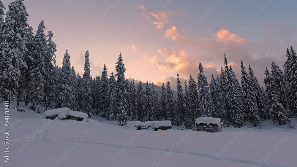 Landscape of a winter evening forest in the Carpathians. Time Lapse Landscape of a winter evening forest in the Carpathians. Time Lapse