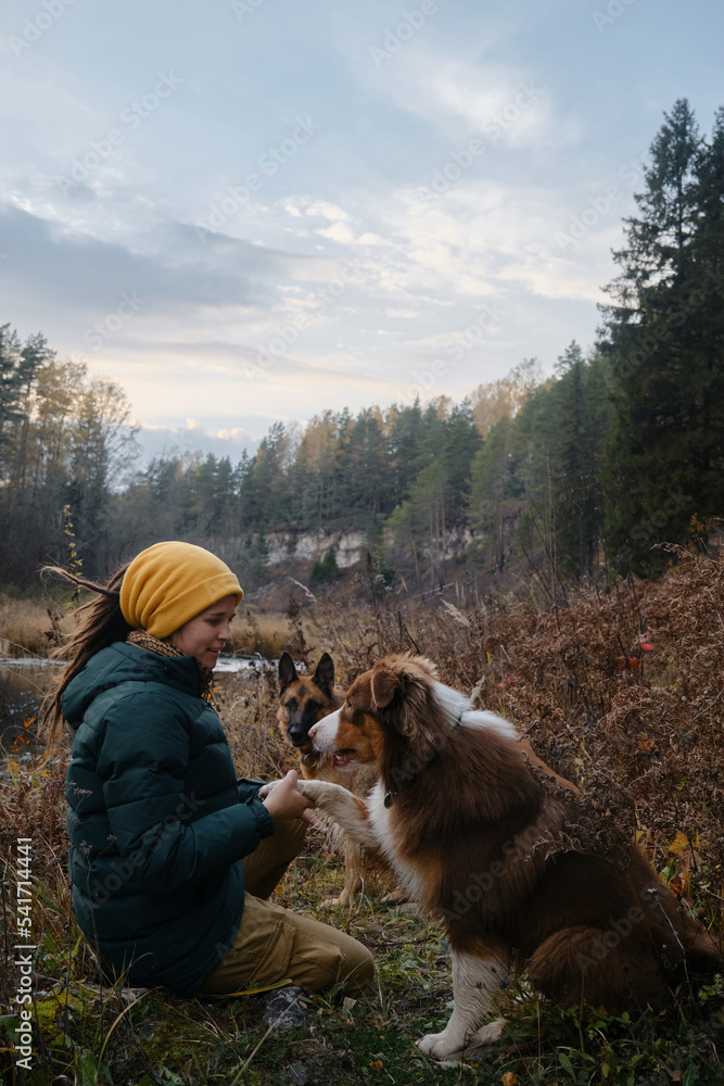 Obraz premium Owner holds paw of Australian Shepherd and smiles. Spend time with animals in nature. German Shepherd sitting behind. Young Caucasian woman sitting with dog in autumn forest by river. Hiking with dog.