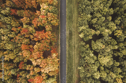 Forêt vu du dessus avec un drone, avec une route traversant la photo de haut en bas durant l'automne