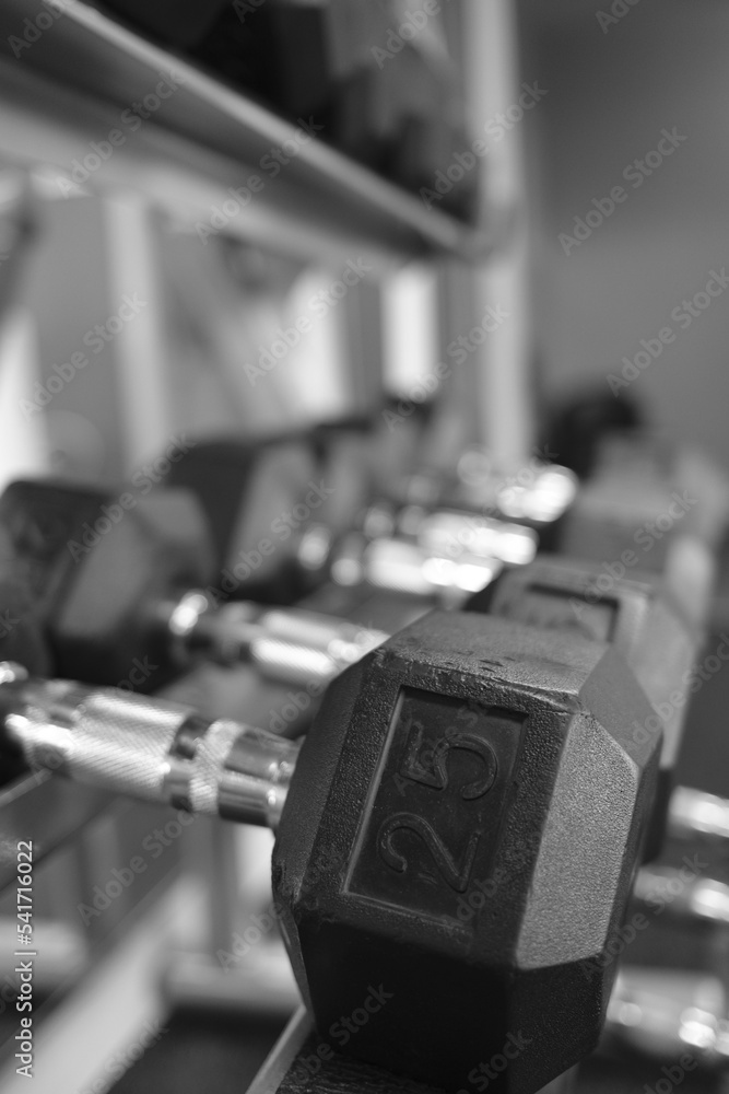 Fototapeta premium Des haltères dans un gym