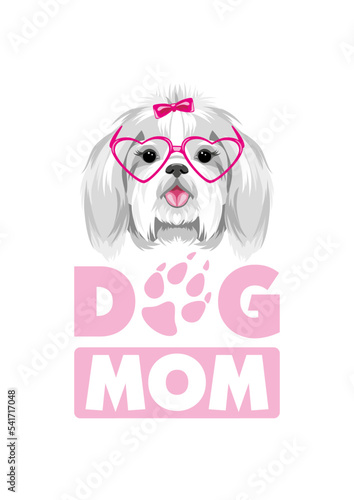 Pretty Shih Tzu in pink eyeglasses. Dog mom