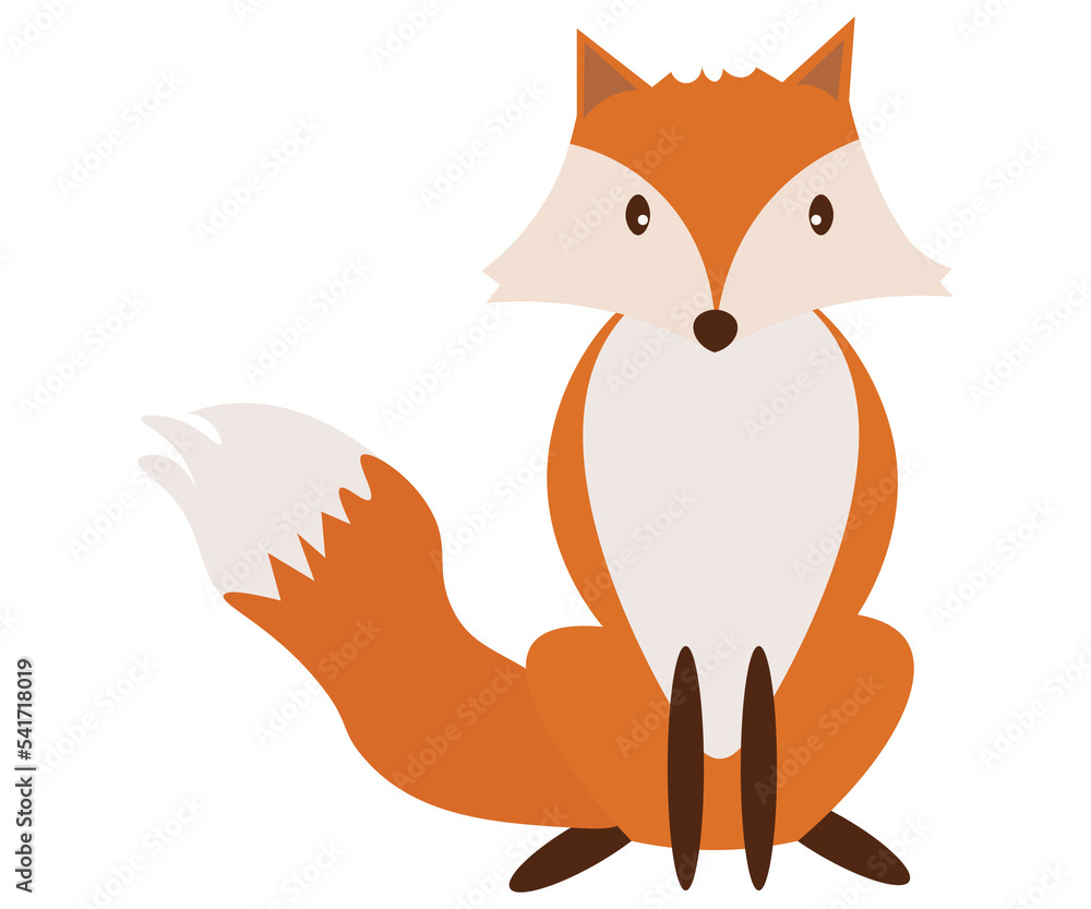 Obraz premium wildlife fox