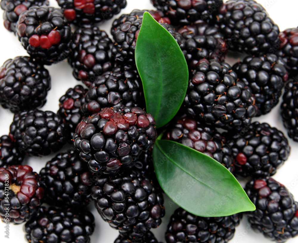 Fresh blackberry on white background Fresh blackberry on white background