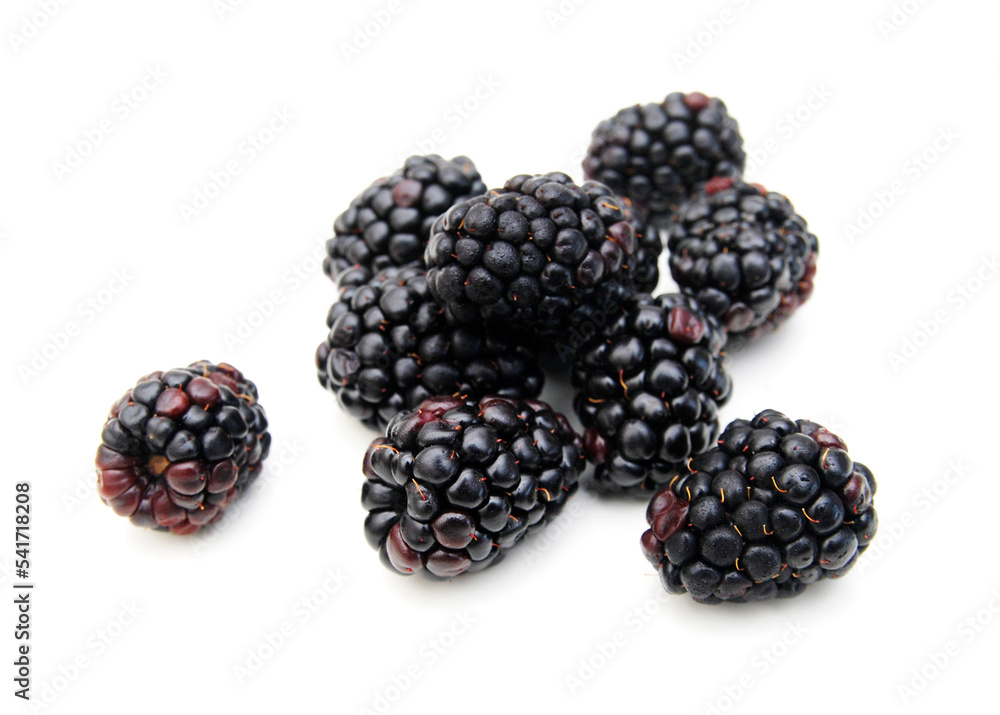 Fresh blackberry on white background Fresh blackberry on white background