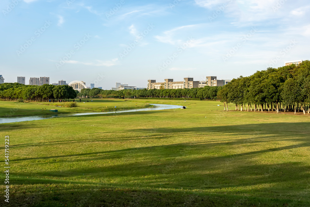 city park lawn green woods natural scenery city park lawn green woods natural scenery