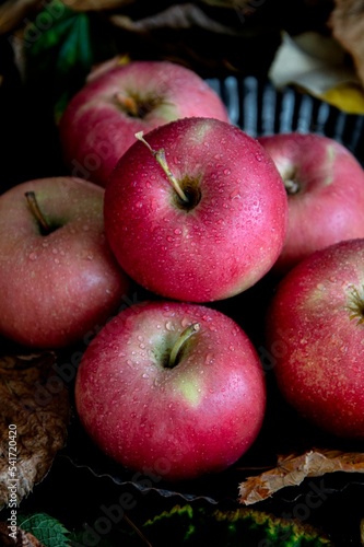Red apples in an autumn setting