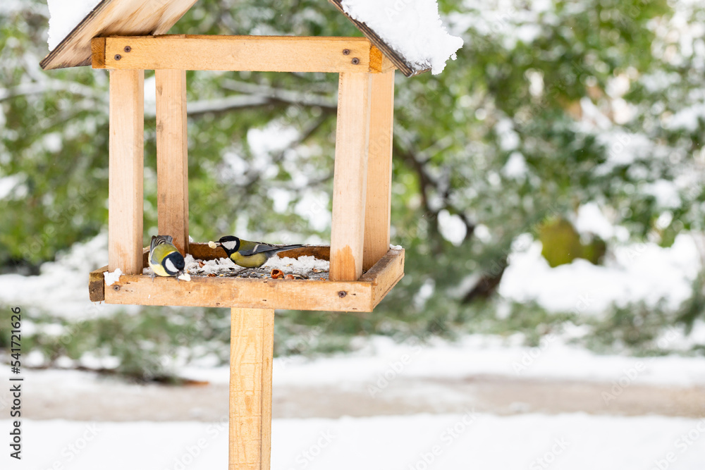 Naklejka premium A chickadee in a winter feeder eats bread. The concept of helping birds in winter.