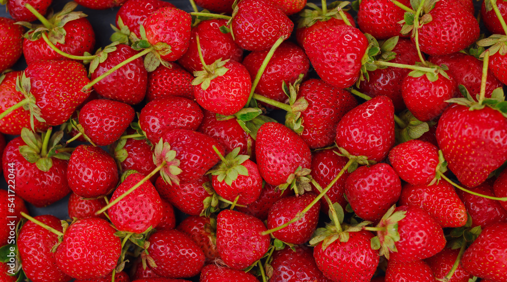 Fresh organic strawberries , over dark background Fresh organic strawberries , over dark background