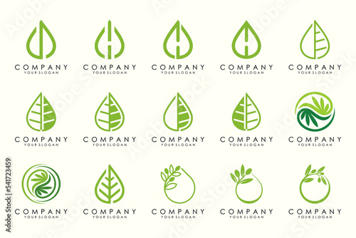 creative leaf and drop logo design vector