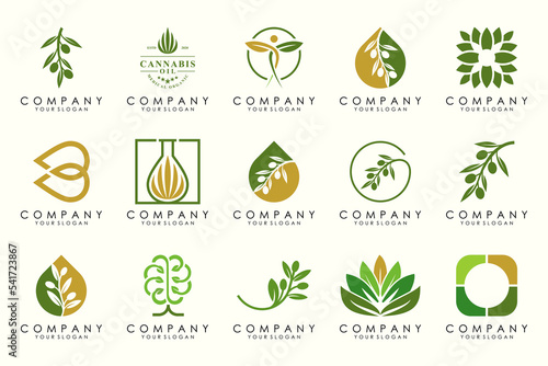 creative leaf and olive oil logo design icon set.
