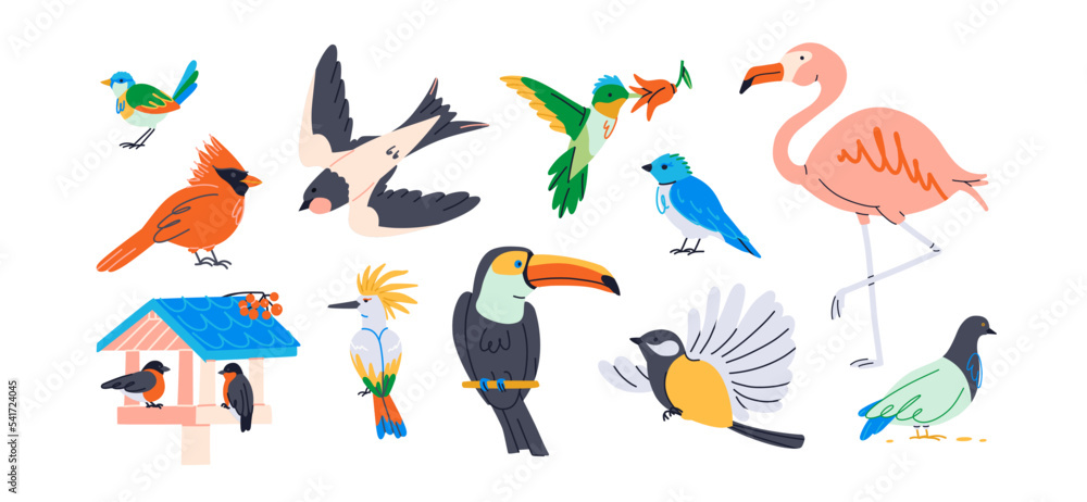 Set of charming birds in cartoon style. Swallow, flamingo, sparrow, pigeon, hummingbird, parrot, cardinal, bullfinches, jay, toucan, macaw. City and exotic feather in vibrant colors. Isolated items Set of charming birds in cartoon style. Swallow, flamingo, sparrow, pigeon, hummingbird, parrot, cardinal, bullfinches, jay, toucan, macaw. City and exotic feather in vibrant colors. Isolated items