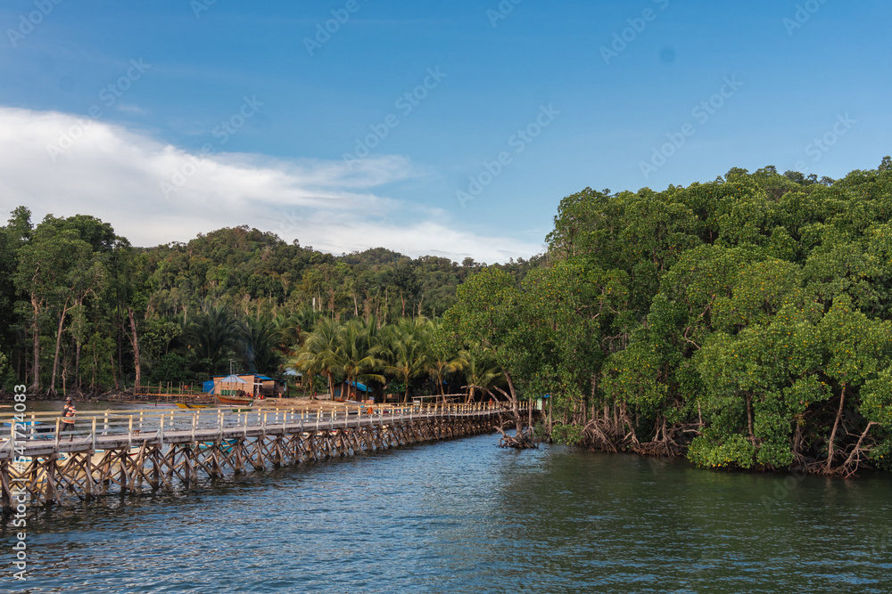 Roswar Bridge with Mangroves, located in Cendrawasih Bay National Park, West Papua, Pacific