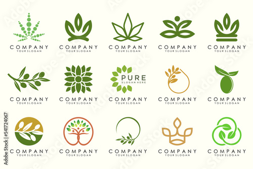 creative leaf and olive oil logo design icon set.