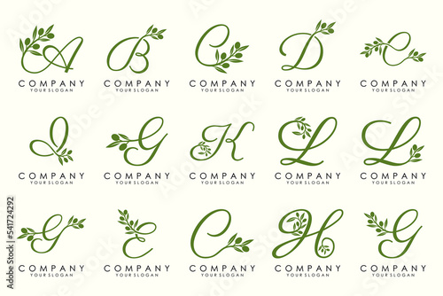 leaf combined with letter logo design and icon set.